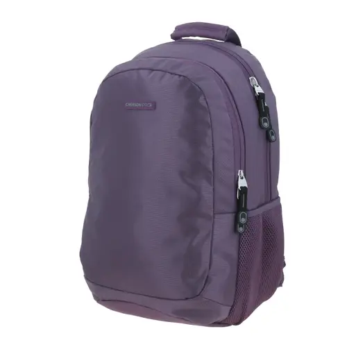 Mochila ejecutiva Chenson Pro uva con organizador interno y elegante diseño - vista 2