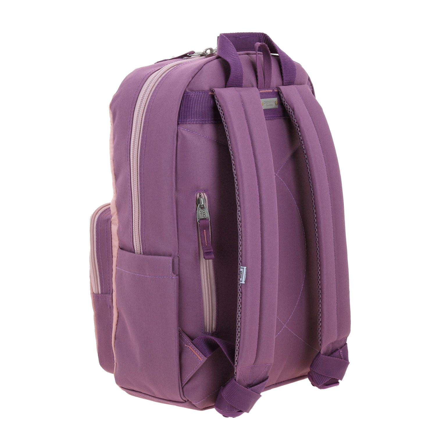 Mochila escolar juvenil 1818 by Chenson rosa con amplio compartimento 3